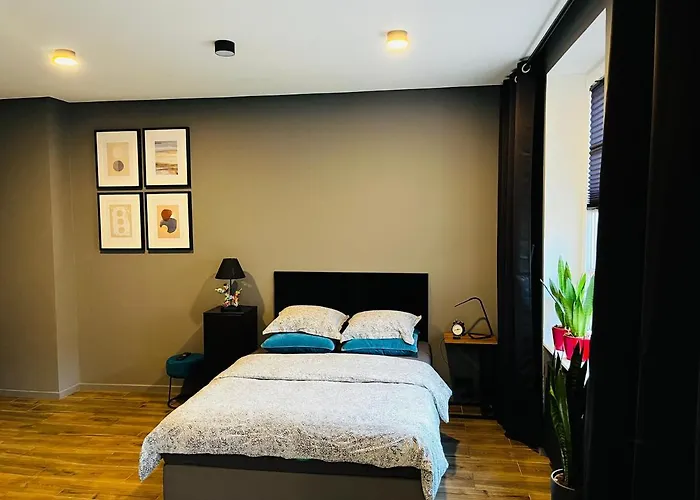 Pobuudka V Plebańska Z Widokiem Na Rynek Apartament *